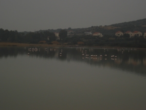 Οι αλυκές της Μυκάλης. Οι αλυκές της Μυκάλης