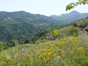 Uitzicht op de bergen Karvounis. Uitzicht op de bergen Karvounis