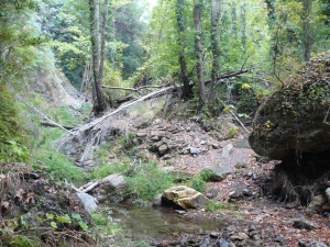 Natuur van Samos. Natuur van Samos